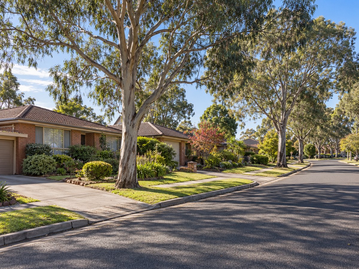 Established residential street lined with large eucalypts in Liverpool